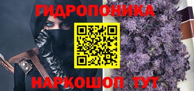 скорость Заводоуковск