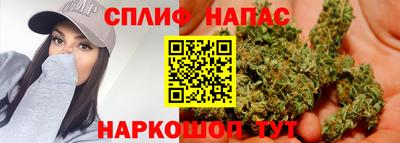 молекула духа Жуковский
